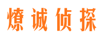 礼县市场调查